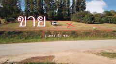ขายที่ดินเปล่าในสนามกอล์ฟโครงการเซอร์เจมส์สระบุรี SIR JAMES SARABURI THAILAND ขาย1ไร่1งาน14ตรว -202505010349001746046140354.jpg