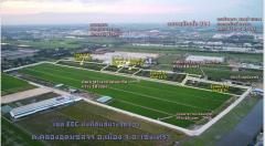 ขายที่ดิน 40 ไร่ เขต EEC ถมที่ดินให้ฟรี เสมอถนนคลองอุดมชลจร เมืองฉะเชิงเทรา เหมาะสร้างโรงงานทุกประเภท