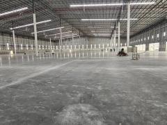 โรงงานโกดังให้เช่าโกดังคลังสินค้าให้เช่าสร้างใหม่อยู่ตำบลเขาคันทรงอำเภอศรีราชา-202505011458051746086285720.jpg