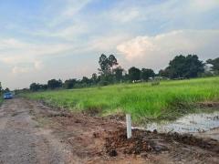 ที่ดินถูกมากใกล้ชุมชนมีเพื่อนบ้านที่คลอง13-หนองหมู-สระบุรี.T.062-1574449-202505011601521746090112127.jpg