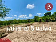 ขายที่ดินเปล่า เนือที่ 2 ไร่ 50 ตารางวา ปากพลี นครนายก-202505011830001746099000287.jpg