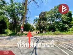 ขายที่ดินเปล่า เนือที่ 2 ไร่ 50 ตารางวา ปากพลี นครนายก-202505011830001746099000938.jpg