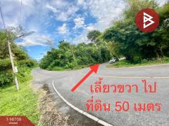 ขายที่ดินเปล่า เนือที่ 2 ไร่ 50 ตารางวา ปากพลี นครนายก-202505011830031746099003951.jpg