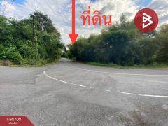 ขายที่ดินเปล่า เนือที่ 2 ไร่ 50 ตารางวา ปากพลี นครนายก-202505011830061746099006070.jpg