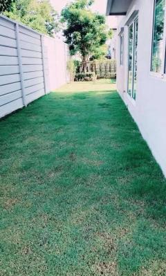 บ้านให้เช่า-202505012018381746105518159.jpeg
