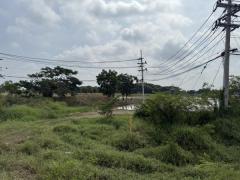 ขายที่ดินบางปะหัน ติดถนนสายเอเชียหมวดการทางบางปะหัน (รหัสทรัพย์ 202542) ต.หันสัง อ.บางปะหัน จ.อยุธยา ขนาด 8 ไร่ 2 งาน 73 ตรว.-202505012020191746105619045.jpg