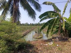 ขายที่ดินเนื้อที่ 10 ไร่ บ้านหัวอ่าว อ.สามพราน จ.นครปฐม เหมาะสร้างบ้านและทำสวนการเกษตร