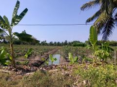 ขายที่ดินเนื้อที่ 10 ไร่ บ้านหัวอ่าว อ.สามพราน จ.นครปฐม เหมาะสร้างบ้านและทำสวนการเกษตร-202505012033461746106426376.jpg