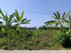ขายที่ดินเนื้อที่ 10 ไร่ บ้านหัวอ่าว อ.สามพราน จ.นครปฐม เหมาะสร้างบ้านและทำสวนการเกษตร-202505012033471746106427956.jpg