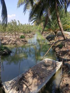 ขายที่ดินเนื้อที่ 10 ไร่ บ้านหัวอ่าว อ.สามพราน จ.นครปฐม เหมาะสร้างบ้านและทำสวนการเกษตร-202505012033481746106428800.jpg
