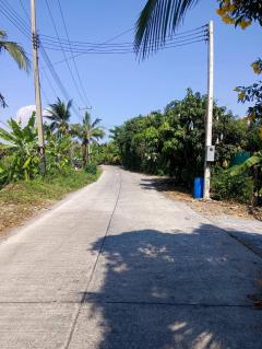 ขายที่ดินเนื้อที่ 10 ไร่ บ้านหัวอ่าว อ.สามพราน จ.นครปฐม เหมาะสร้างบ้านและทำสวนการเกษตร-202505012033491746106429679.jpg