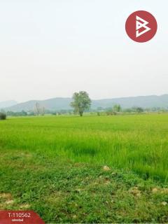 ขายที่ดิน เนื้อที่ 2 ไร่ 2 งาน 58 ตร.วา เทิง เชียงราย