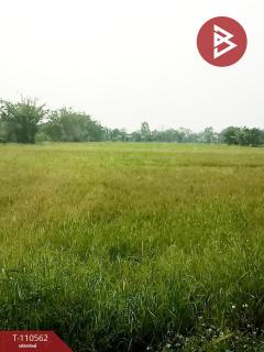 ขายที่ดิน เนื้อที่ 2 ไร่ 2 งาน 58 ตร.วา เทิง เชียงราย-202505020049331746121773300.jpg
