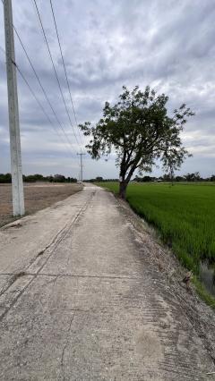 ขายที่ดินเปล่า ผังสีม่วง ขายที่ดินเหมาะทำโรงงาน ขายที่ดินเสาไห้ 41 ไร่  พิกัด ตำบลหัวปลวก อำเภอเสาไห้ จังหวัดสระบุรี-202505020315371746130537856.jpg