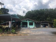 ขาย บ้านเดี่ยว เขาขาว ทุ่งสง หมู่7 ติด ถ.สิงห์ขจรวรกุล 384 ตรม. 188 ตร.วา บรรยากาศดี สงบ ใกล้เมือง ราคาสุดพิเศษ-202505021001171746154877596.jpg