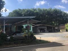 ขาย บ้านเดี่ยว เขาขาว ทุ่งสง หมู่7 ติด ถ.สิงห์ขจรวรกุล 384 ตรม. 188 ตร.วา บรรยากาศดี สงบ ใกล้เมือง ราคาสุดพิเศษ-202505021001181746154878881.jpg