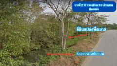ขายที่ดิน ติดคลอง 2 ไร่ ใกล้ถนนสิริโสธร หรือถนน 314 (บางปะกง-ฉะเชิงเทรา)  ต.สนามจันทร์ อ.บ้านโพธิ์ จ.ฉะเชิงเทรา-202505021016581746155818295.jpg