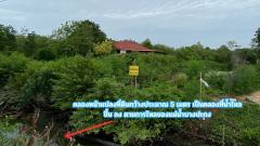 ขายที่ดิน ติดคลอง 2 ไร่ ใกล้ถนนสิริโสธร หรือถนน 314 (บางปะกง-ฉะเชิงเทรา)  ต.สนามจันทร์ อ.บ้านโพธิ์ จ.ฉะเชิงเทรา-202505021016591746155819632.jpg