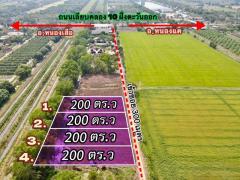 ขายที่ดินบึงกาสามเนื้อที่ 200 ตรว. คลอง10 ถมแล้ว เข้าซอยจากถนน3261เพียง300เมตร หนองเสือ ปทุมธานี-202505021148471746161327984.jpg