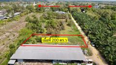 ขายที่ดินหนองเสือ 200 ตรว. คลอง12 ถมแล้ว เหมา 890,000บาท ใกล้ถนนเส้น3025 - 210 เมตร จ.ปทุมธานี-202505021556101746176170860.jpg