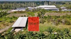 ขายที่ดินหนองเสือ 200 ตรว. คลอง12 ถมแล้ว เหมา 890,000บาท ใกล้ถนนเส้น3025 - 210 เมตร จ.ปทุมธานี-202505021556121746176172931.jpg