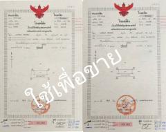 ขายด่วน ร้อนเงินร้อนใจ ขายถูก ที่สวยทำเลทอง คลอง8-202505021846211746186381145.jpg