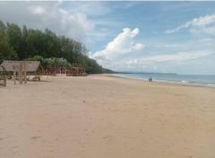 ขายที่ดิน 11 ไร่ บนเกาะคอเขา พร้อมบังกะโล 4 หลัง อ.ตะกวป่า จ.พังงา