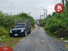 ขายที่ดินเปล่าด่วน เนื้อที่ 49.2 ตร.วา ท่าซัก นครศรีธรรมราช-202505031103051746244985163.jpg