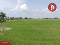ขายที่ดิน เนื้อที่ 23 ไร่ พรหมพิราม พิษณุโลก