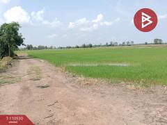 ขายที่ดิน เนื้อที่ 23 ไร่ พรหมพิราม พิษณุโลก-202505031131531746246713929.jpg