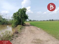 ขายที่ดิน เนื้อที่ 23 ไร่ พรหมพิราม พิษณุโลก-202505031131541746246714574.jpg