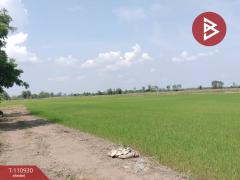 ขายที่ดิน เนื้อที่ 23 ไร่ พรหมพิราม พิษณุโลก-202505031131551746246715237.jpg