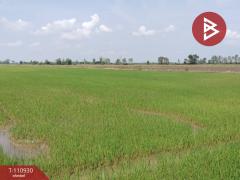 ขายที่ดิน เนื้อที่ 23 ไร่ พรหมพิราม พิษณุโลก-202505031131551746246715888.jpg