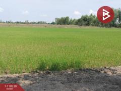 ขายที่ดิน เนื้อที่ 23 ไร่ พรหมพิราม พิษณุโลก-202505031131571746246717225.jpg