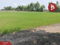 ขายที่ดิน เนื้อที่ 23 ไร่ พรหมพิราม พิษณุโลก-202505031131571746246717882.jpg