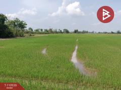 ขายที่ดิน เนื้อที่ 23 ไร่ พรหมพิราม พิษณุโลก-202505031131591746246719203.jpg