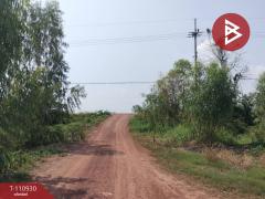 ขายที่ดิน เนื้อที่ 23 ไร่ พรหมพิราม พิษณุโลก-202505031131591746246719955.jpg