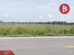ขายที่ดิน เนื้อที่ 23 ไร่ พรหมพิราม พิษณุโลก-202505031132001746246720612.jpg