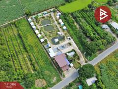 ขายโรงแรมพร้อมที่ดิน 4 ไร่ 1 งาน 34 ตร.วา ยางนอน สุพรรณบุรี-202505031545591746261959371.jpg