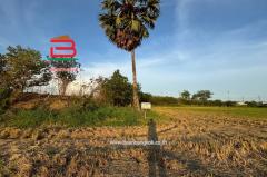  ที่ดินเปล่า ถนนปทุมธานี-บางปะหัน (347) เนื้อที่ 2-2-0 ไร่ ใกล้ตลาดพูนทรัพย์ ถนนปทุมธานี-บางปะหัน (347) ตำบลเชียงรากใหญ่ อำเภอสามโคก จังหวัดปทุมธานี-202505031751051746269465799.jpg
