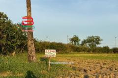  ที่ดินเปล่า ถนนปทุมธานี-บางปะหัน (347) เนื้อที่ 2-2-0 ไร่ ใกล้ตลาดพูนทรัพย์ ถนนปทุมธานี-บางปะหัน (347) ตำบลเชียงรากใหญ่ อำเภอสามโคก จังหวัดปทุมธานี-202505031751071746269467051.jpg