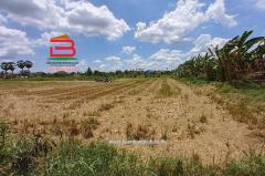  ที่ดินเปล่า ถนนปทุมธานี-บางปะหัน (347) เนื้อที่ 2-2-0 ไร่ ใกล้ตลาดพูนทรัพย์ ถนนปทุมธานี-บางปะหัน (347) ตำบลเชียงรากใหญ่ อำเภอสามโคก จังหวัดปทุมธานี-202505031751071746269467659.jpg