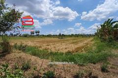  ที่ดินเปล่า ถนนปทุมธานี-บางปะหัน (347) เนื้อที่ 2-2-0 ไร่ ใกล้ตลาดพูนทรัพย์ ถนนปทุมธานี-บางปะหัน (347) ตำบลเชียงรากใหญ่ อำเภอสามโคก จังหวัดปทุมธานี-202505031751081746269468262.jpg
