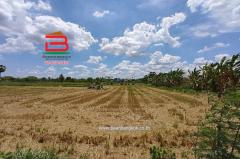  ที่ดินเปล่า ถนนปทุมธานี-บางปะหัน (347) เนื้อที่ 2-2-0 ไร่ ใกล้ตลาดพูนทรัพย์ ถนนปทุมธานี-บางปะหัน (347) ตำบลเชียงรากใหญ่ อำเภอสามโคก จังหวัดปทุมธานี-202505031751081746269468868.jpg
