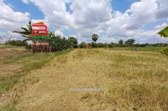  ที่ดินเปล่า ถนนปทุมธานี-บางปะหัน (347) เนื้อที่ 2-2-0 ไร่ ใกล้ตลาดพูนทรัพย์ ถนนปทุมธานี-บางปะหัน (347) ตำบลเชียงรากใหญ่ อำเภอสามโคก จังหวัดปทุมธานี-202505031751101746269470101.jpg