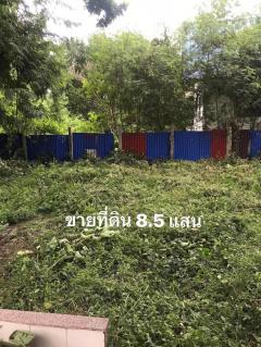 ขายที่ดิน2งานราคาสุทธิ8แสน5หมื่นใกล้โรงเรียนวัดบ้านยางเสาไห้สระบุรีติดต่อ0934415691KERK-202505032041531746279713723.jpg