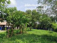 ขายที่ดิน2งานราคาสุทธิ8แสน5หมื่นใกล้โรงเรียนวัดบ้านยางเสาไห้สระบุรีติดต่อ0934415691KERK-202505032041591746279719139.jpg