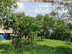 ขายที่ดิน2งานราคาสุทธิ8แสน5หมื่นใกล้โรงเรียนวัดบ้านยางเสาไห้สระบุรีติดต่อ0934415691KERK-202505032042031746279723385.jpg