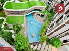 ขายคอนโด โครงการดีคอนโด แคมปัส รีสอร์ท โดม-รังสิต คลองหลวง ปทุมธานี-202505041019361746328776509.jpg
