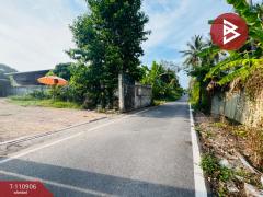 ขายที่ดิน ซ.กระดัง8 เนื้อที่ 70 ตร.วา บางคนที สมุทรสงคราม-202505041030071746329407542.jpg